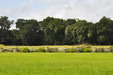 Dsc_0396 (1)